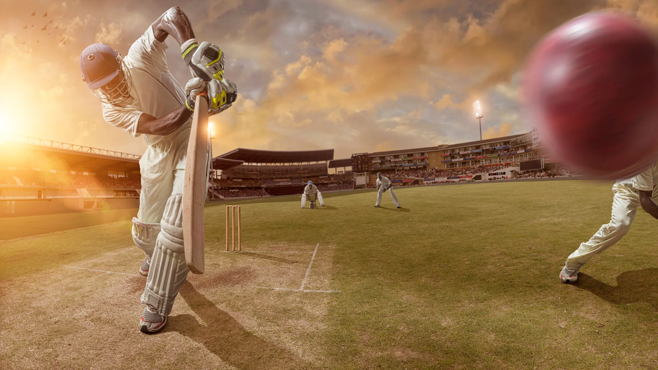 Elevate Your Cricket Potential