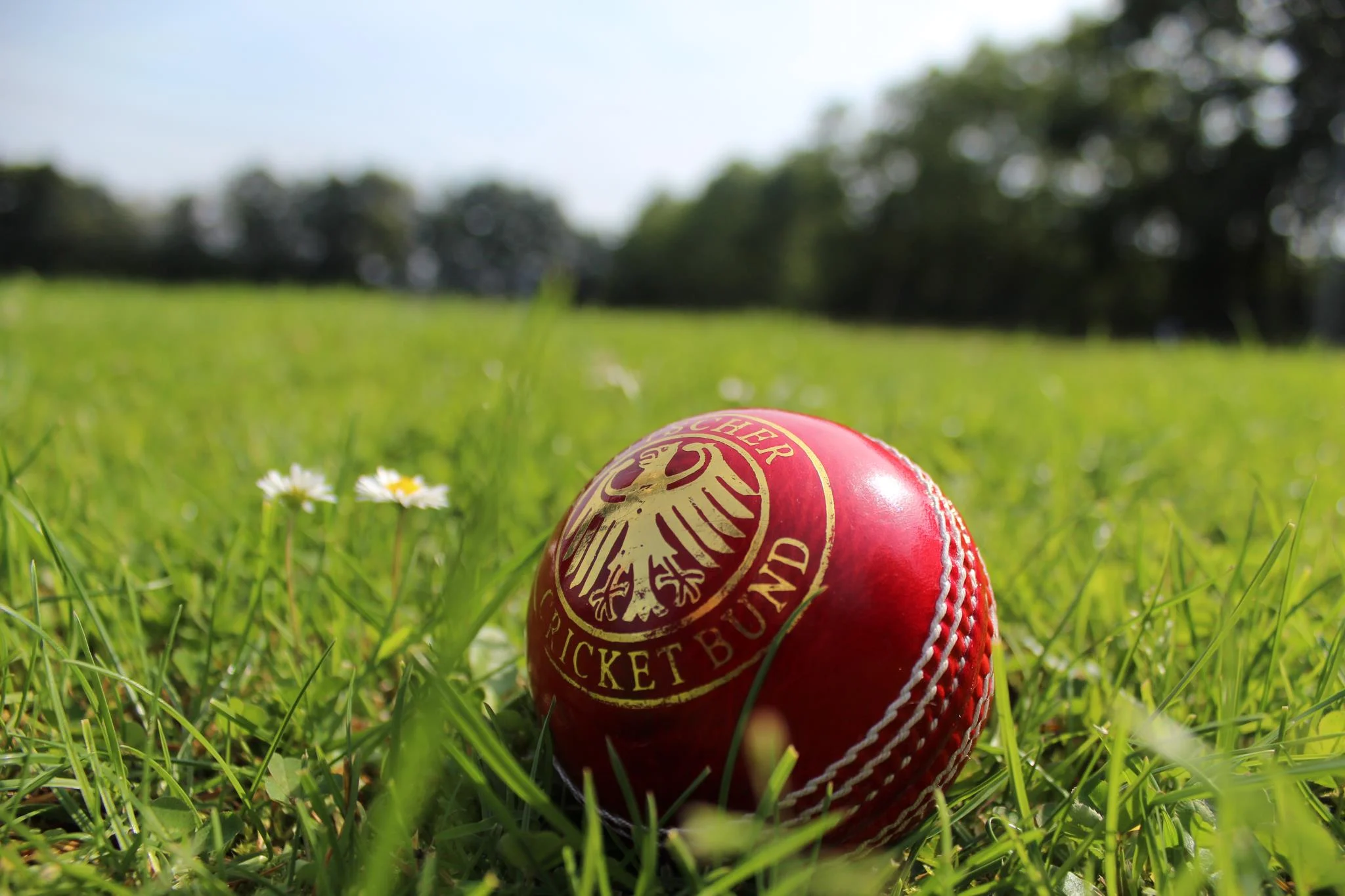 Futura Cricket Player